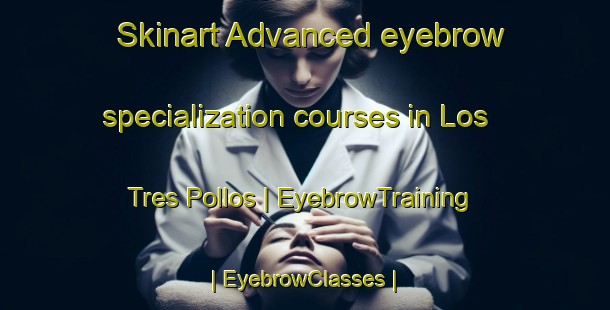 Skinart Advanced eyebrow specialization courses in Los Tres Pollos | EyebrowTraining | EyebrowClasses | SkinartTraining-Mexico